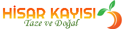 Hisar Kayısı